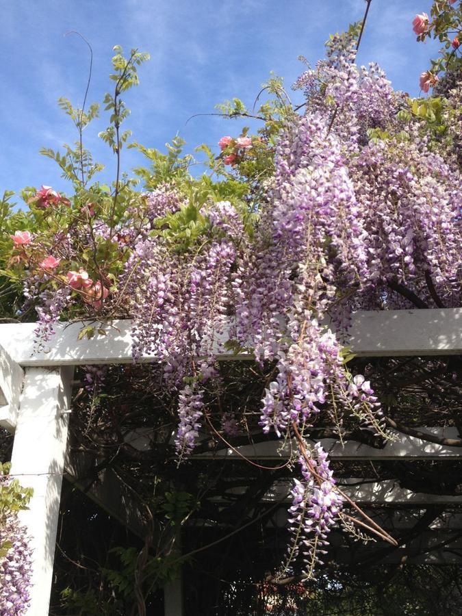 Bed and Breakfast Natone Hobart Exterior foto